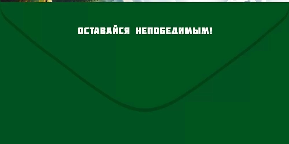 Конверты для денег, 23 Февраля (медведь), 10 шт.