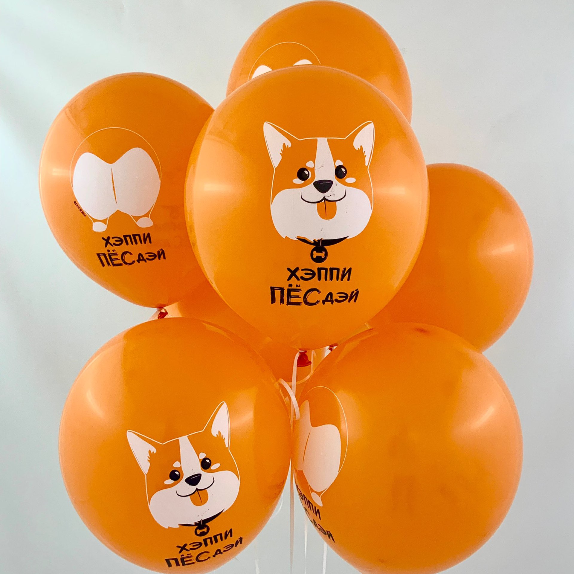 Тарелки (7''/18 см) Счастливый корги, 6 шт.