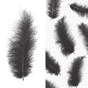 Перья, Премиум, Графит, 12-15 см, 30 шт.