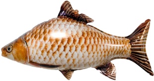 Шар (33''/84 см) Фигура, Рыба, 1 шт. в уп.