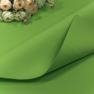 Фоамиран 1 мм (0,6*0,7 м) Нежно-оливковый, 10 шт.