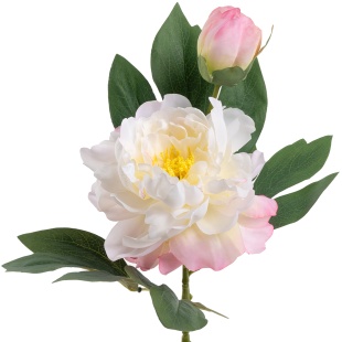 Пион, искусственный, Бело-розовый, 60 см, 1 шт. в упак. 