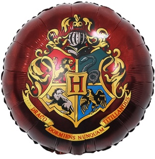 Шар (18''/46 см) Круг, Волшебная школа, Дизайн №2, 1 шт. в уп. (цв.этик.)