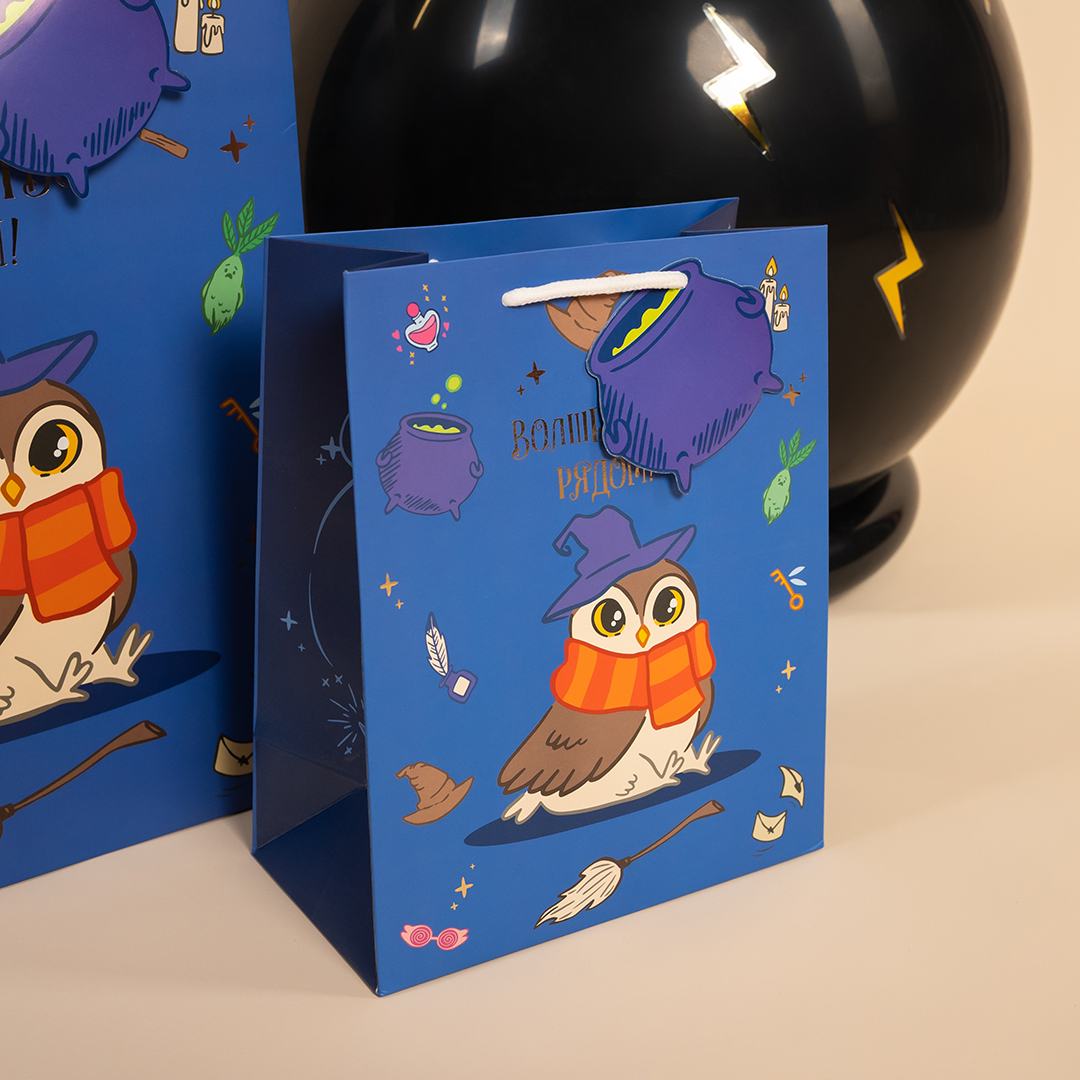Пакет подарочный, 210гр, Волшебная школа, 41*31*12 см, 1 шт.