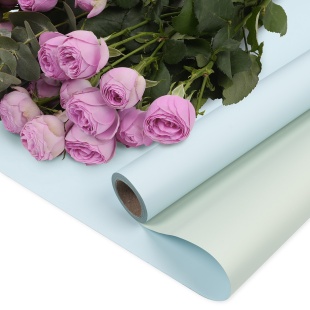 Упаковочная пленка 65мкр (0,57*10 м) Двухцветная, Светло-голубой/Белый, Матовый, 1 шт.