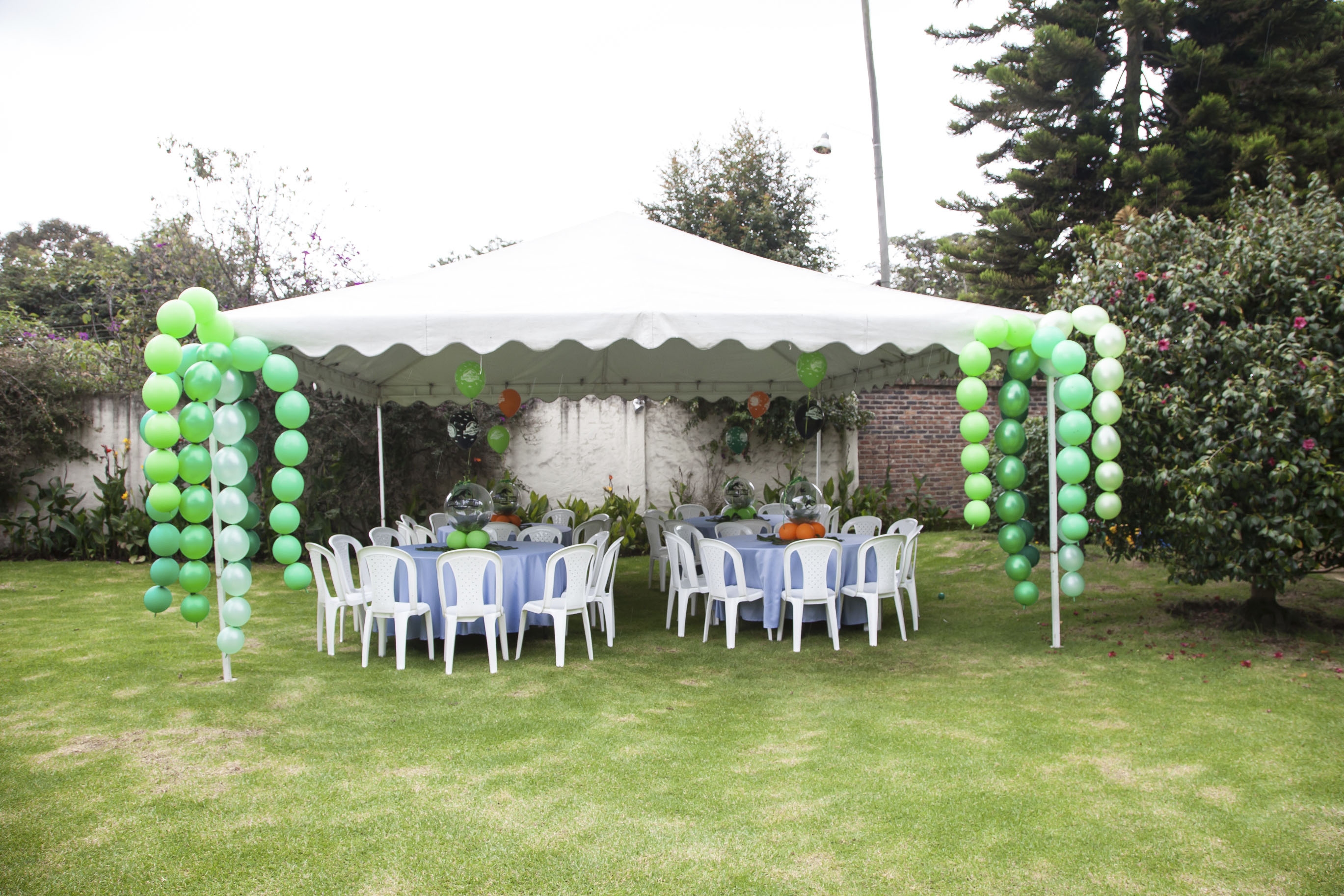 Шар (12''/30 см) Линколун, Лайм (031), пастель, 50 шт.