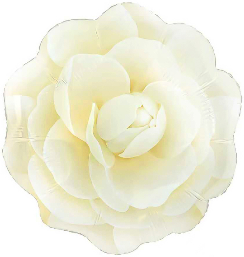 Шар (19''/48 см) Цветок, Камелия, Кремовый, 1 шт.