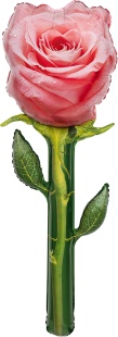 Шар (59''/150 см) Цветок, Роза, Люкс, Розовый, 1 шт.