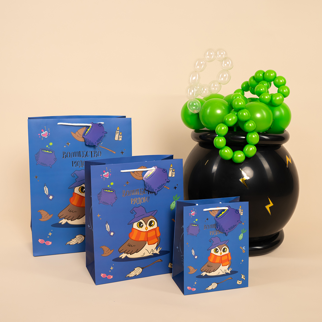 Пакет подарочный, 210гр, Волшебная школа, 41*31*12 см, 1 шт.