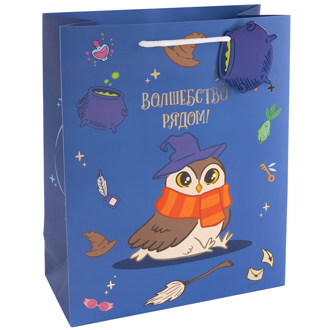 Пакет подарочный, 210гр, Волшебная школа, 41*31*12 см, 1 шт.