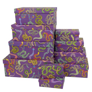 Набор коробок Разноцветные змейки, 33*20*13 см, 10 шт. в упак. 