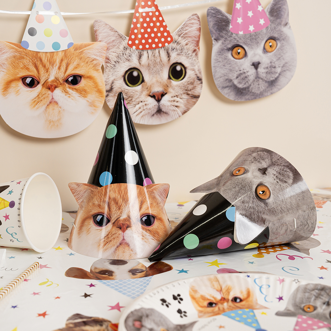 Колпаки, Котики, 16 см, 6 шт. в упак. 