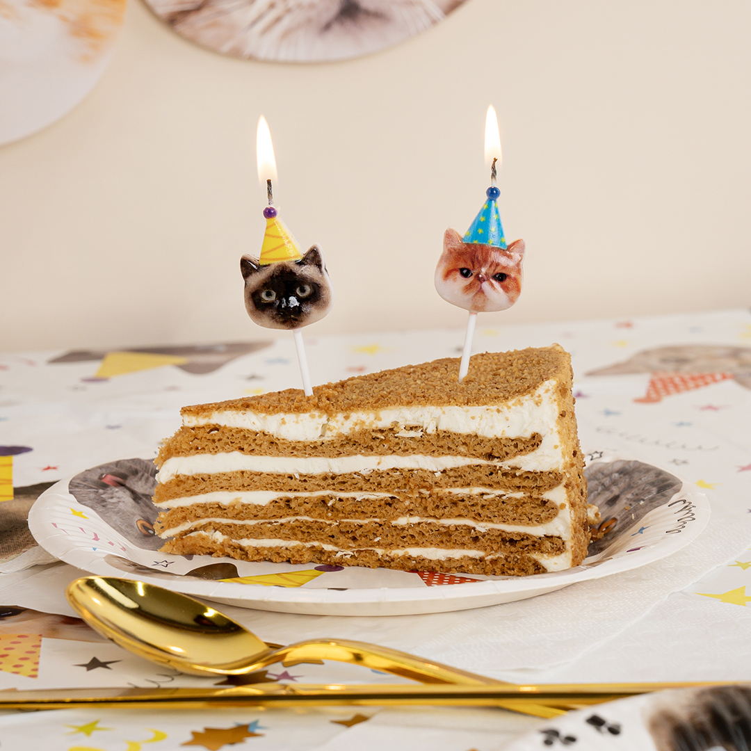 Набор свечей Фигура, Котики, 6 см, 5 шт. с держат.