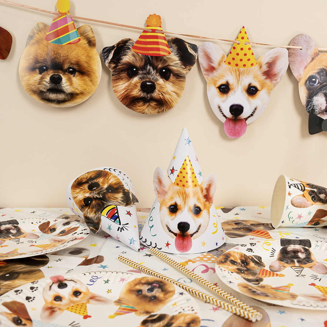 Колпаки, Собачки, 16 см, 6 шт. в упак. 