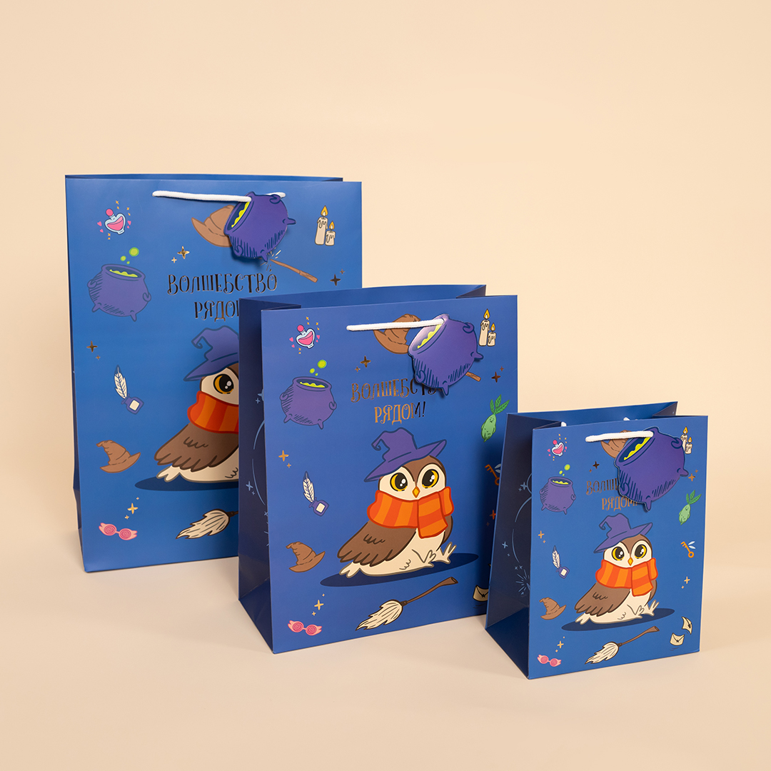Пакет подарочный, 210гр, Волшебная школа, 41*31*12 см, 1 шт.