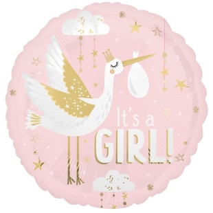 Шар (18''/46 см) Круг, Аист принес девочку, Розовый, 1 шт. в уп. (цв.этик.)